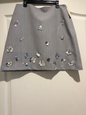 Gray Sequin-Embellished A-Line Skirt